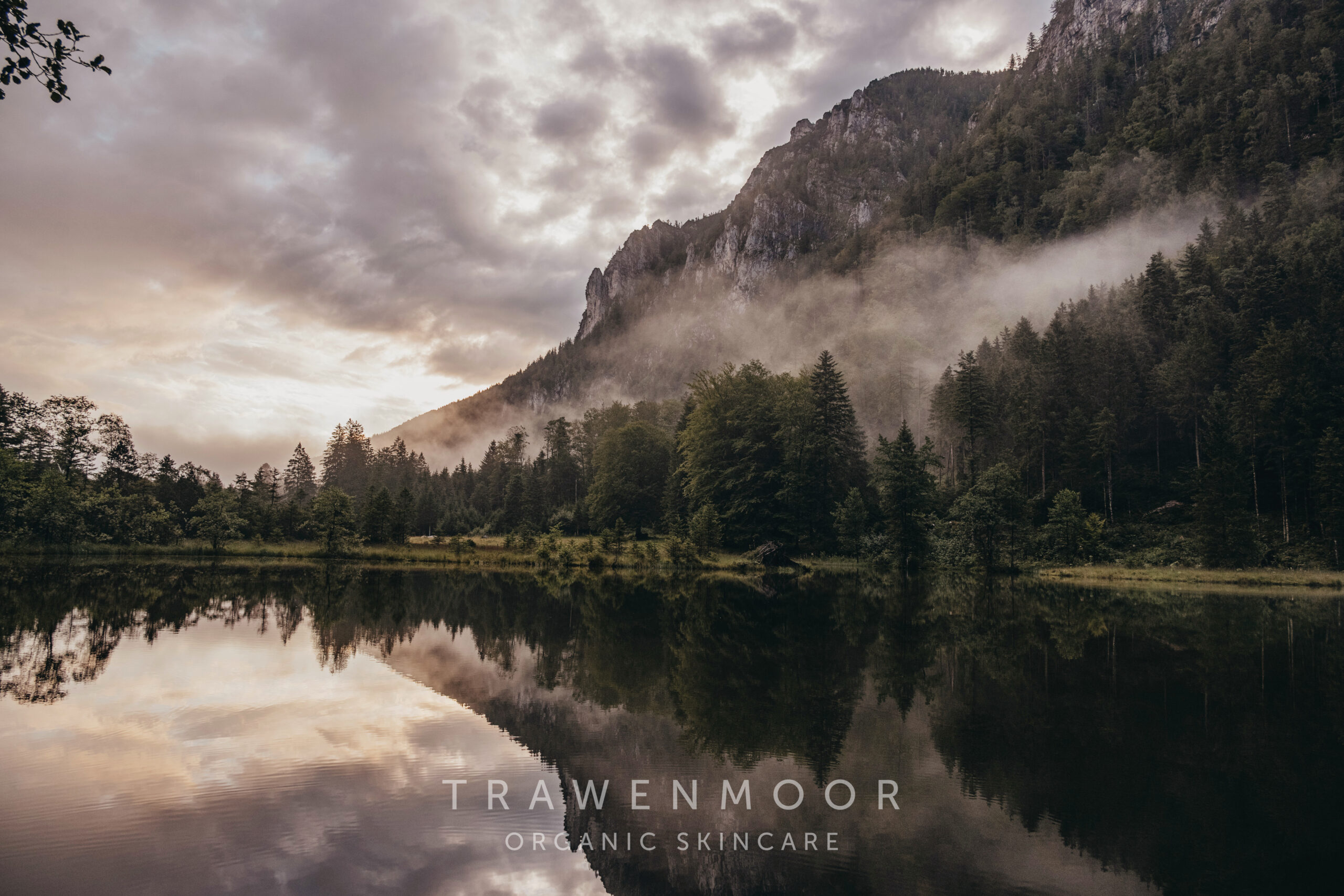 trawenmoor_natur_see_70